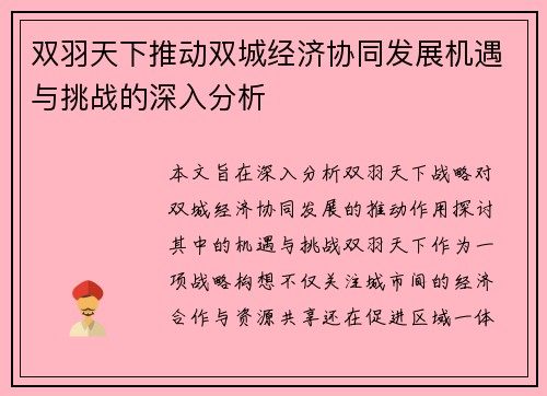 双羽天下推动双城经济协同发展机遇与挑战的深入分析