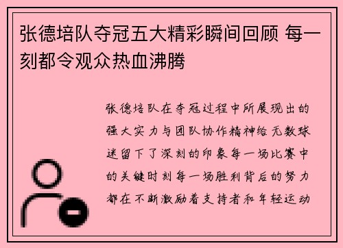 张德培队夺冠五大精彩瞬间回顾 每一刻都令观众热血沸腾